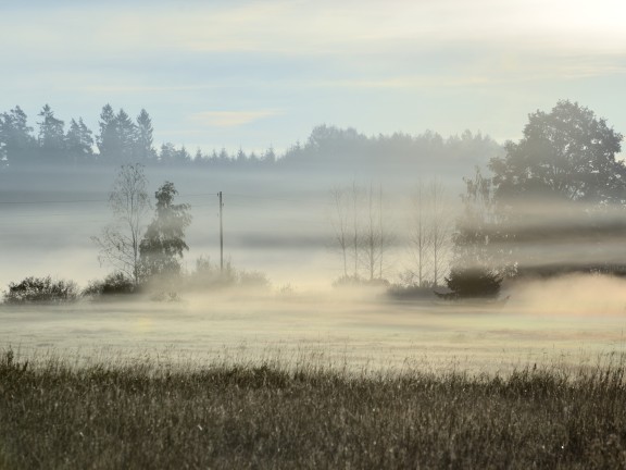 Sun shining on farmland