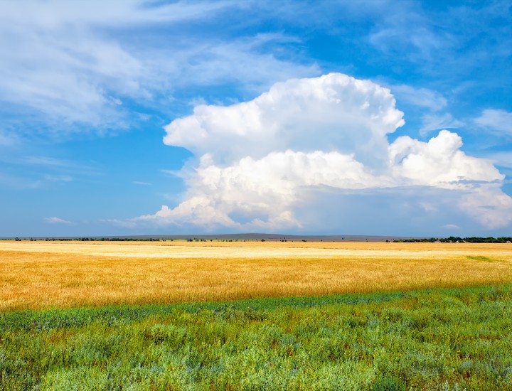 A landscape shot of a farm